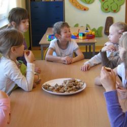 Próbujemy różnych rodzajów chleba