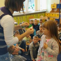 Najlepiej pracująca przez całe zajęcia drużyna otrzymuje odznaki Przyjaciela drzew
