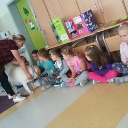 20171005_130547.jpg
