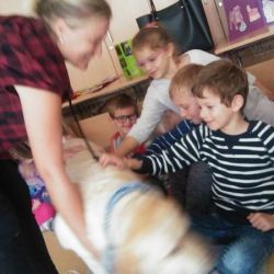 20171005_130601.jpg