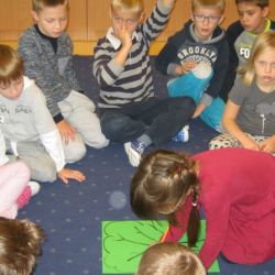 Dzień drzewa - co zawdzięczamy drzewom