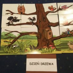Dzień drzewa