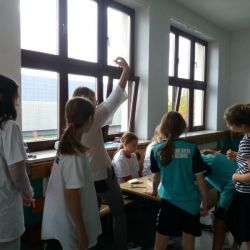 20171013_103746.jpg