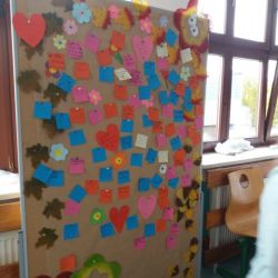 20171013_104116.jpg