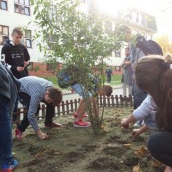 20171017_143429.jpg