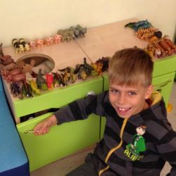 Kolekcja świetlicowych zwierzątek