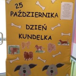 Dzień kundelka