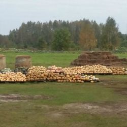 20171012_085625.jpg