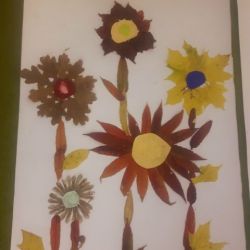 20171023_152734.jpg
