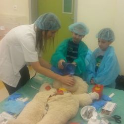 Szpital Pluszowego Misia