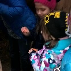 WP_20171215_12_41_47_Pro.jpg