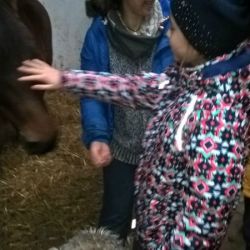 WP_20171215_12_42_40_Pro.jpg