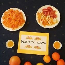 Konkursy i imprezy