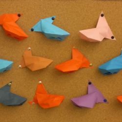 Zajęcia Origami - Rybka Fugu