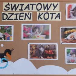 Dzień kota