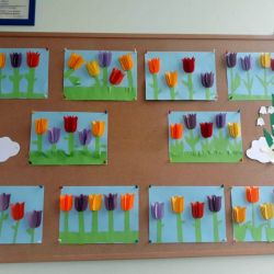 Tulipany