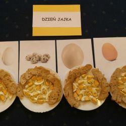 Dzień jajka