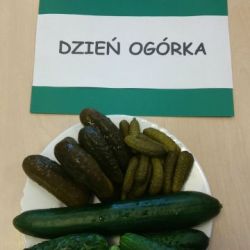 Dzień ogórka