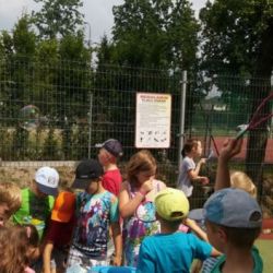 Szaleństwo z bańkami