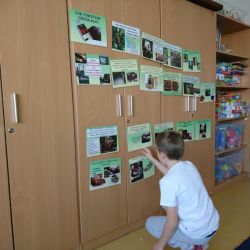 Dzień czekolady - od kakaowca do tabliczki czekolady