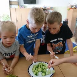 Dzień ogórka