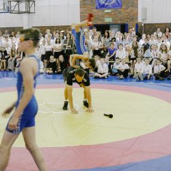 P1030535.jpg