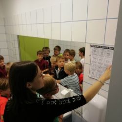 8-jpg.jpg