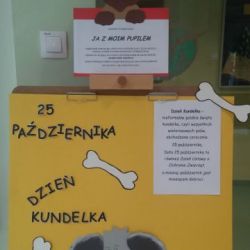 Dzień kundelka
