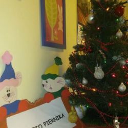 20181219_110658.jpg