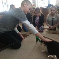 8-jpg.jpg
