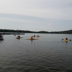 20190615_155817.jpg