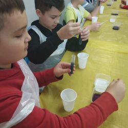 IMG_20191010_114349.jpg