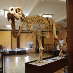 Muzeum Ewolucji Instytutu Paleobiologii PAN