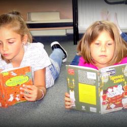 Biblioteka