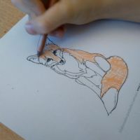 Dzień zwierząt