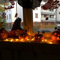 IMG_3518.JPG
