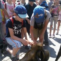 20160603_133137.jpg