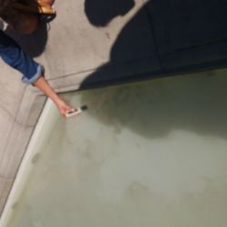 20160825_101827.jpg