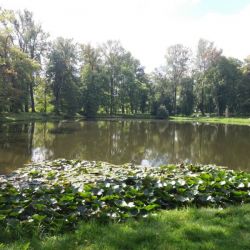 20160825_111349.jpg