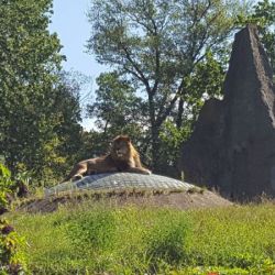 20160825_100845.jpg