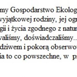 0-jpg.jpg