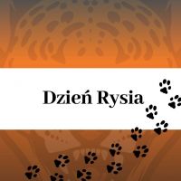 ryś.jpg