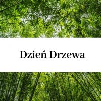 Dzień Drzewa.jpg