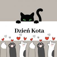 kot.jpg