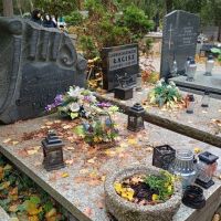 autorka zdjęć: M. Osak.