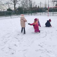 IMG_20251124_102756.jpg