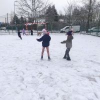 IMG_20251124_102843.jpg