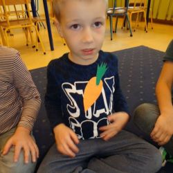 Dzień marchewki