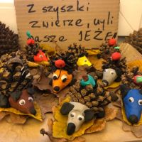 Dzień Jeża