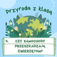 4. Czy samochody przeszkadzają zwierzętom?